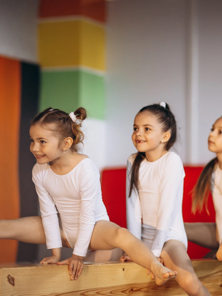 Vignette gymnastique OZ'ARTS